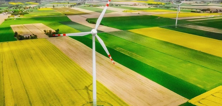 Bild von Felder und Windrädern von oben