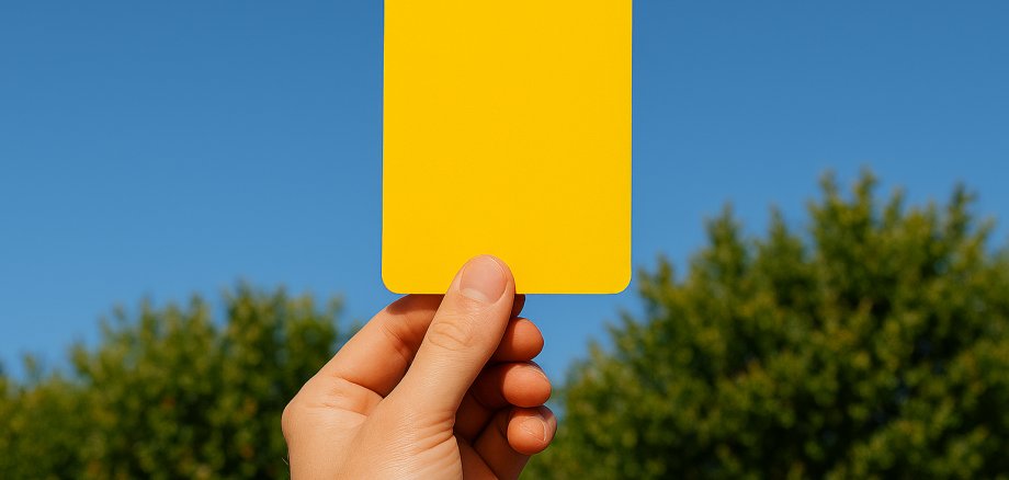 Auf dem Foto siehst du eine Hand, die eine gelbe Karte vor einem blauen Himmel und grünen Büschen hoch hält.
