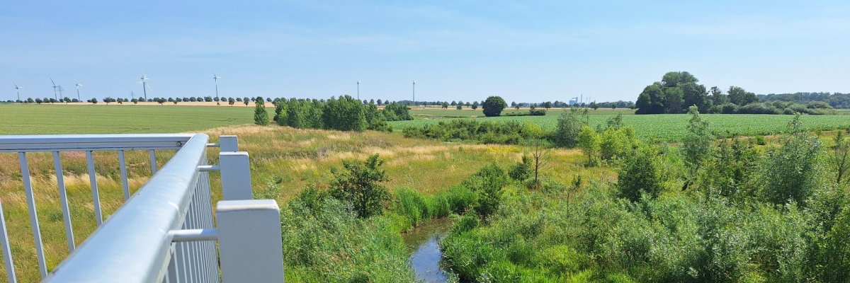 Aussichtsturm am renaturierten Bruchgraben den Namen „Basse-Turm