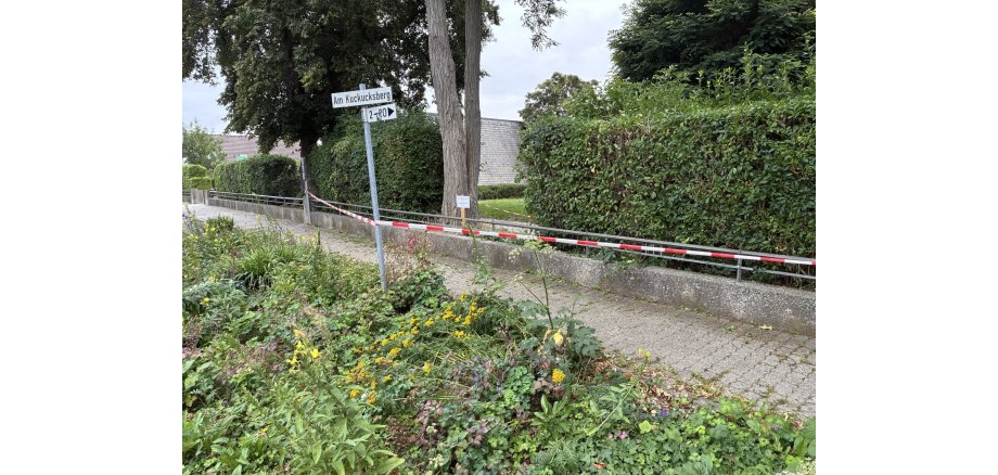Auf dem Bild ist ein abgesperrter Bereich unter einem Baum zu sehen