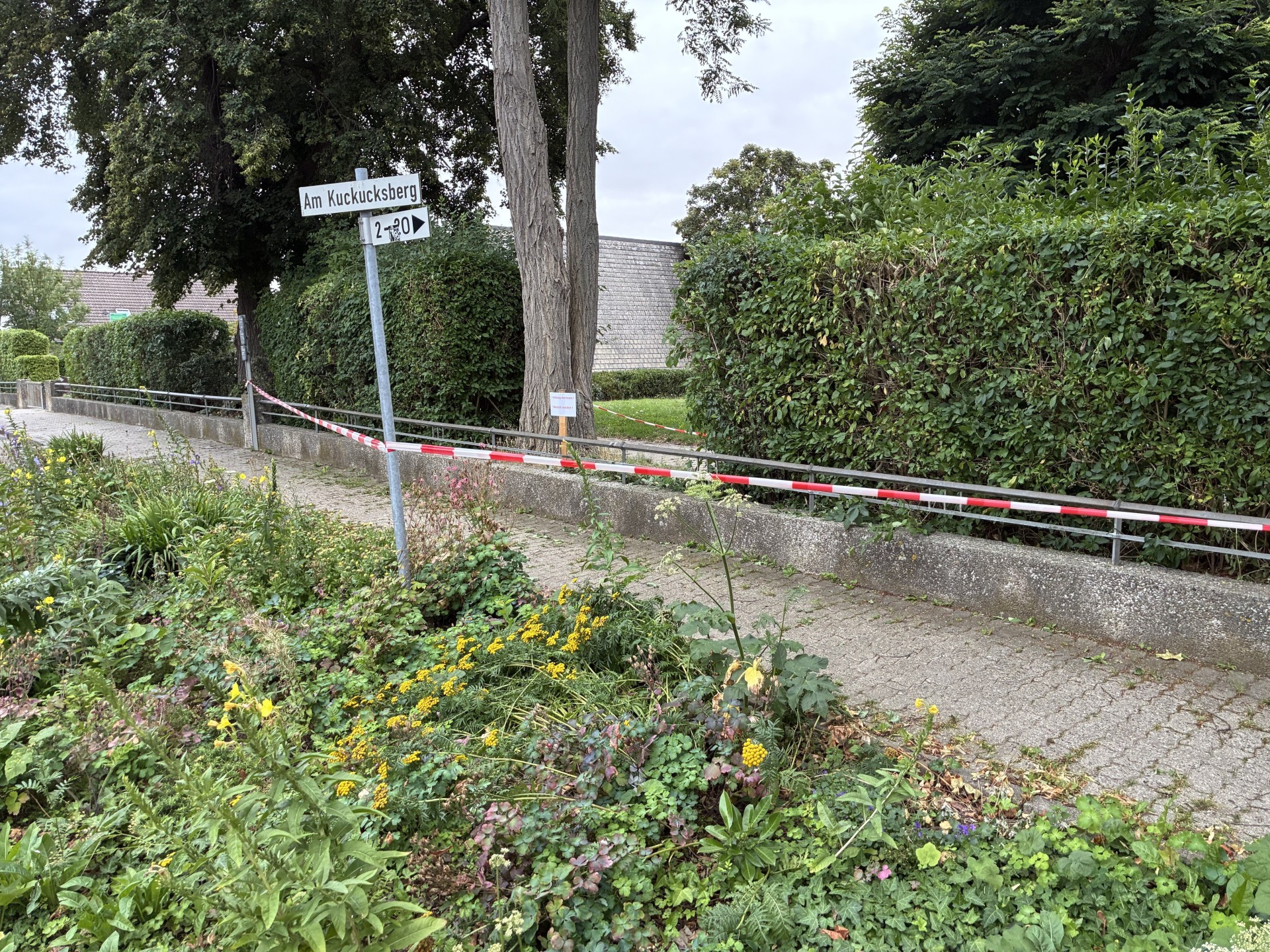 Auf dem Bild ist ein abgesperrter Bereich unter einem Baum zu sehen