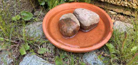Auf dem Foto sehen Sie eine flache Schale mit Wasser und 2 Steinen 