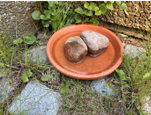 Auf dem Foto sehen Sie eine flache Schale mit Wasser und 2 Steinen 