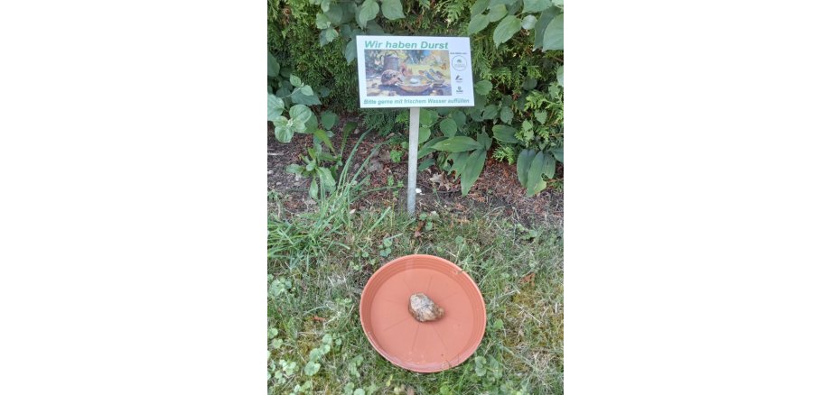 Auf dem Foto sieht man einen Blumenuntersetzer mit einem Stein auf Rasen, dieser dient als Insektentränke